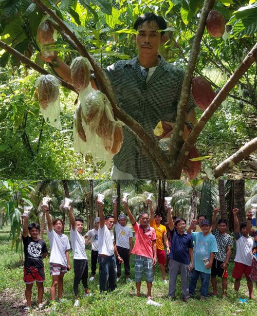 kaffea_coconut_farmers